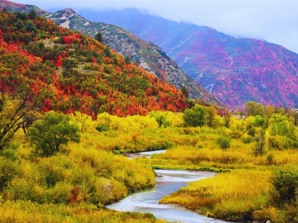 Diamond Fork River the golden grasses border, Spanish Fork, UT