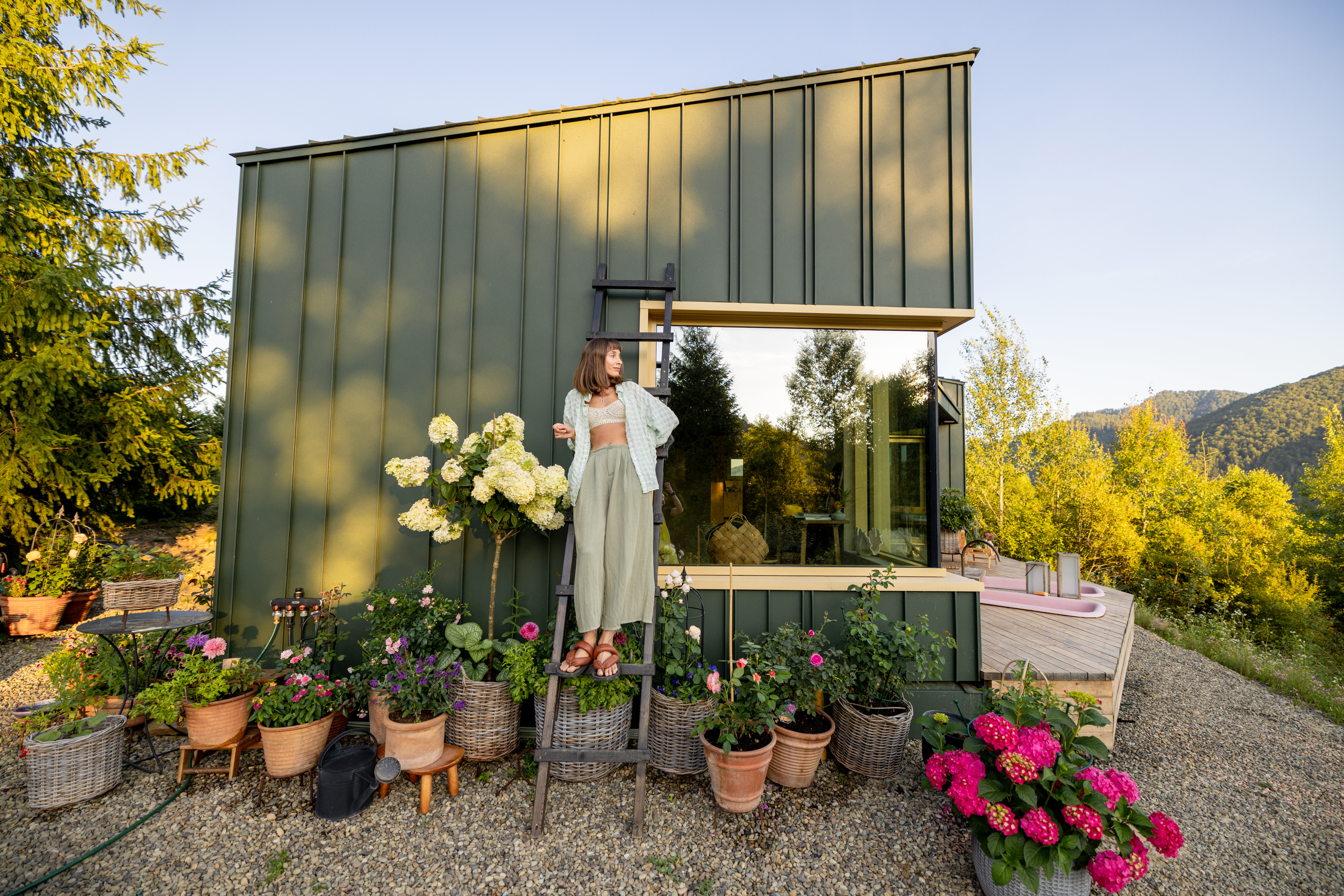 garden she shed
